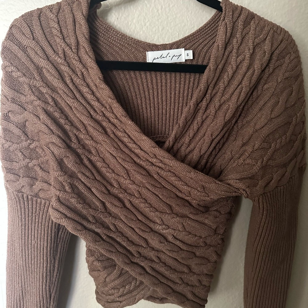 Petal & Pup Brown V-Neck Sweater